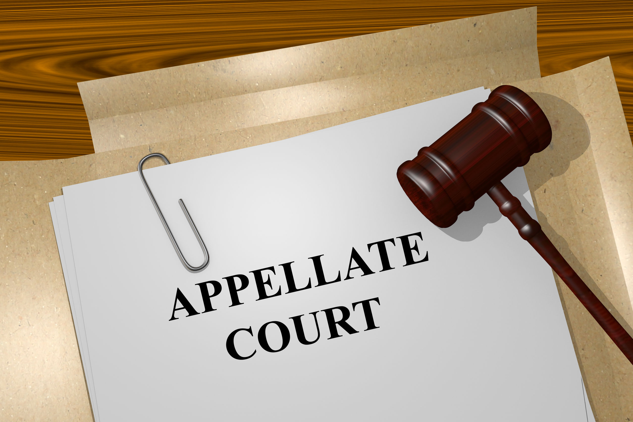 Appellate Court written on file folder