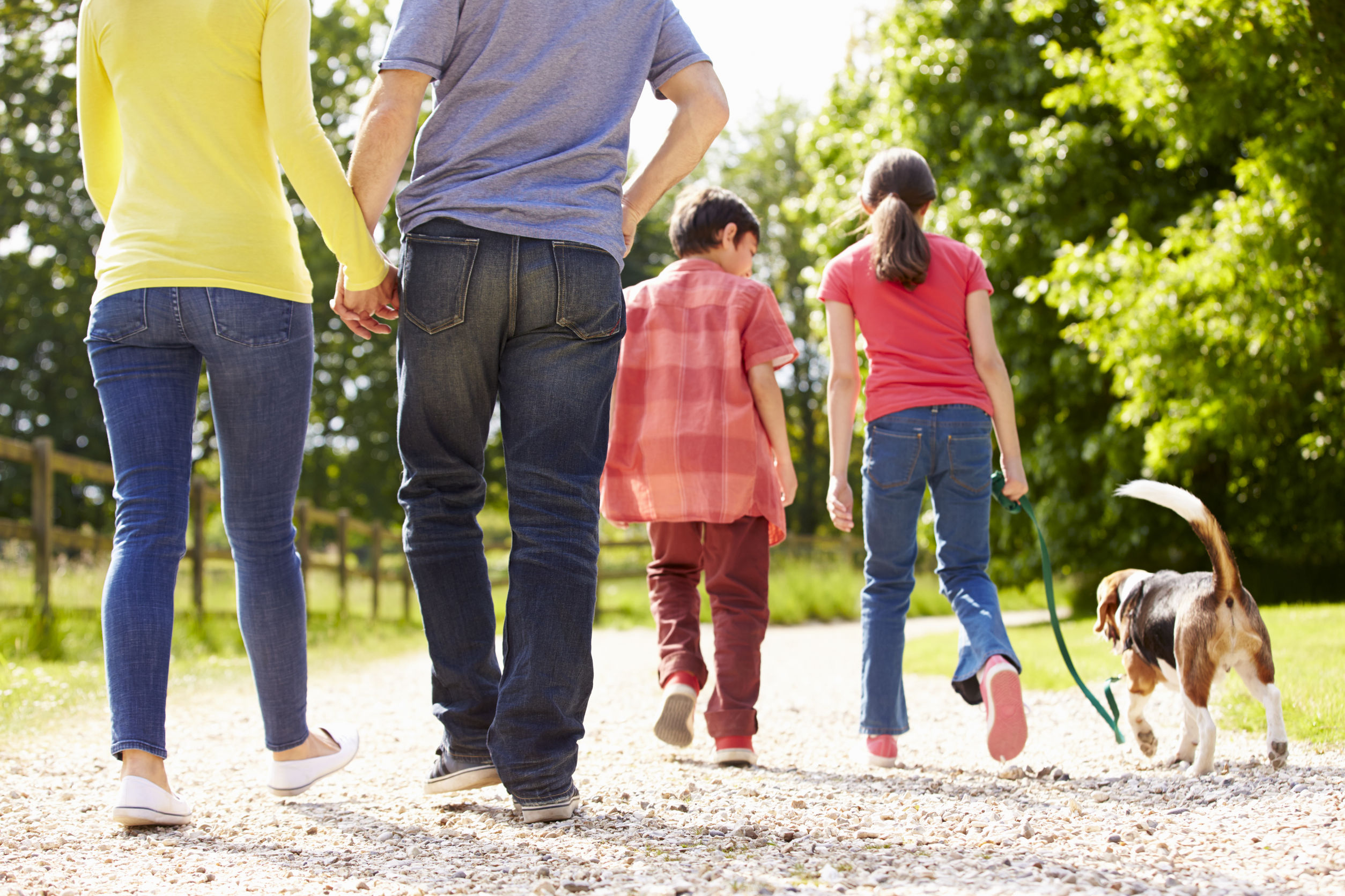 family walking a dog