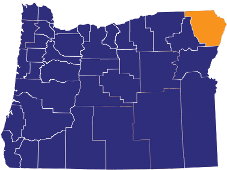 Map highlighting Wallowa County