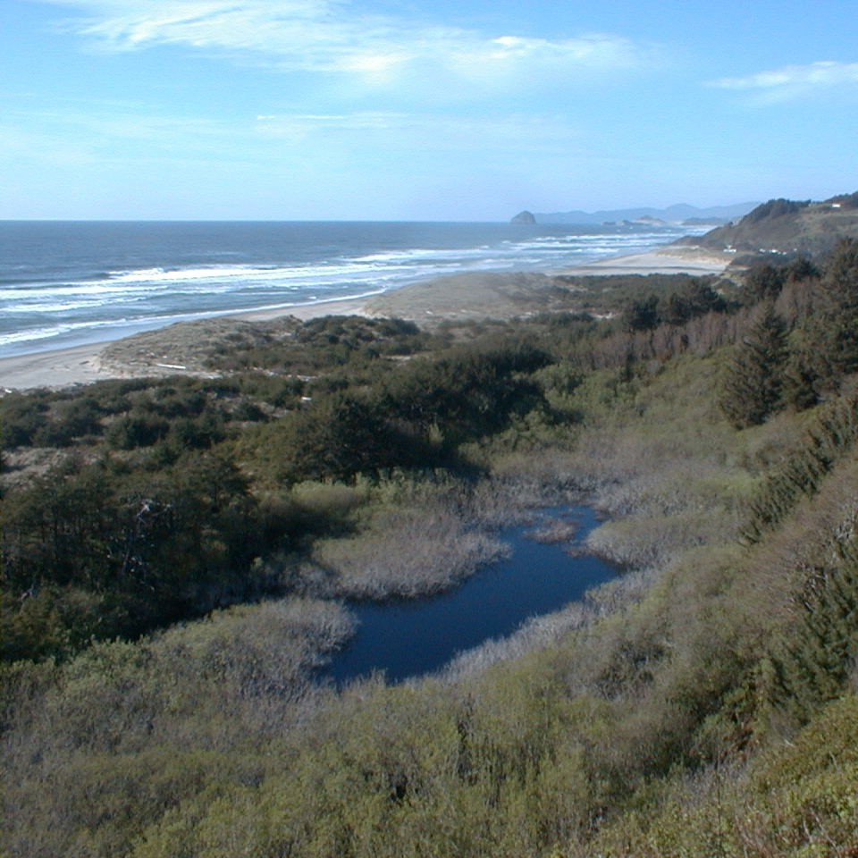 A coastal landscape with waves rolling onto a sandy beach, bordered by dense green vegetation and a small inland pond surrounded
